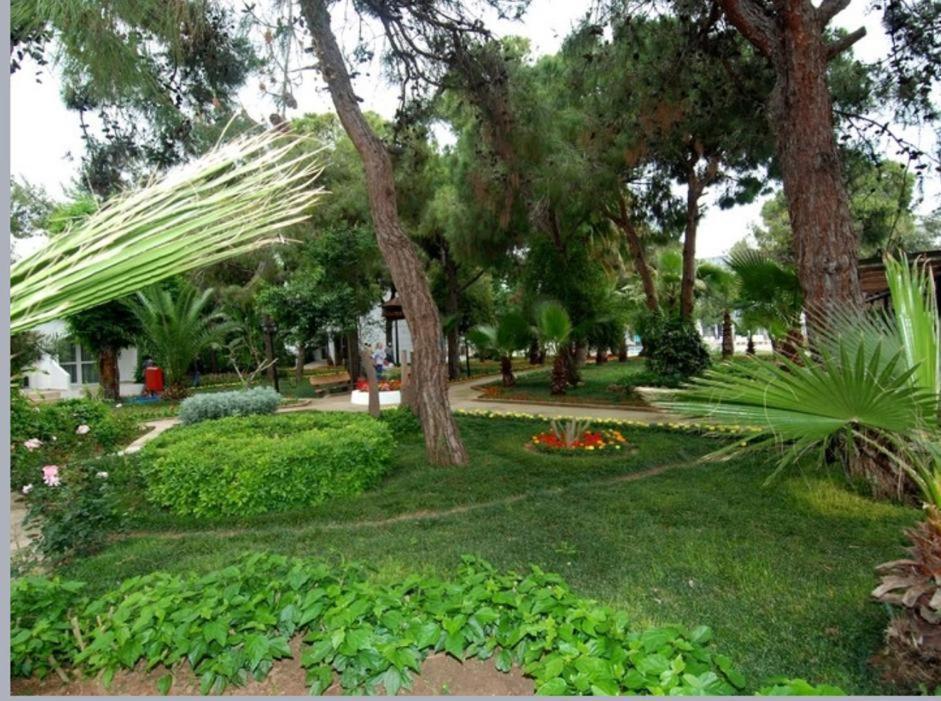 Luca Beach Hotel Side Exterior foto